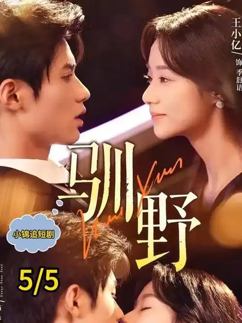 旧城来信 剧情悬疑电影